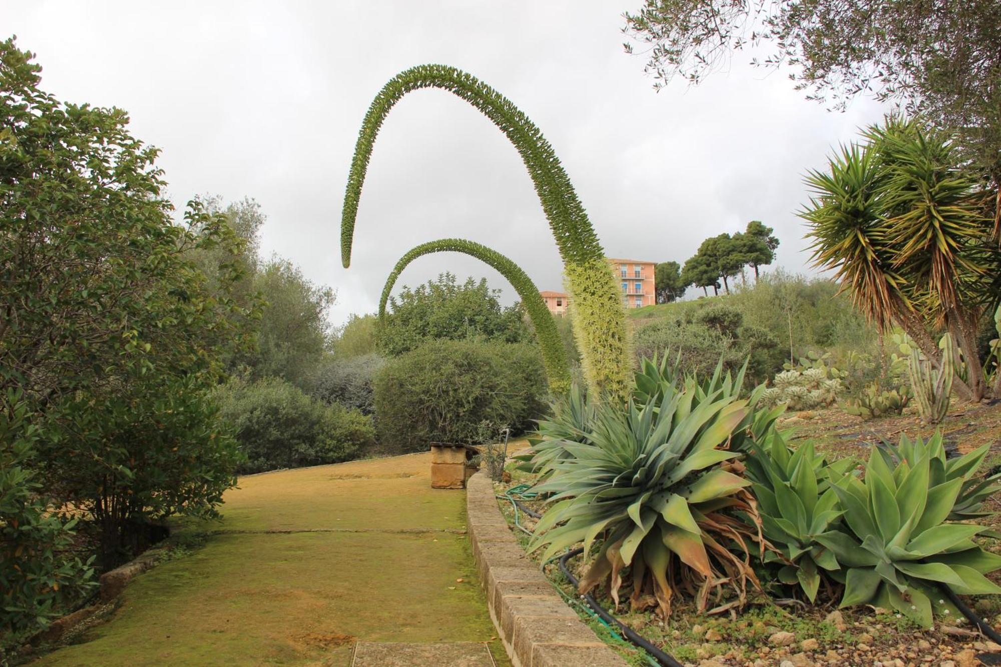 B&B Villa Adriana San Leone Exterior photo